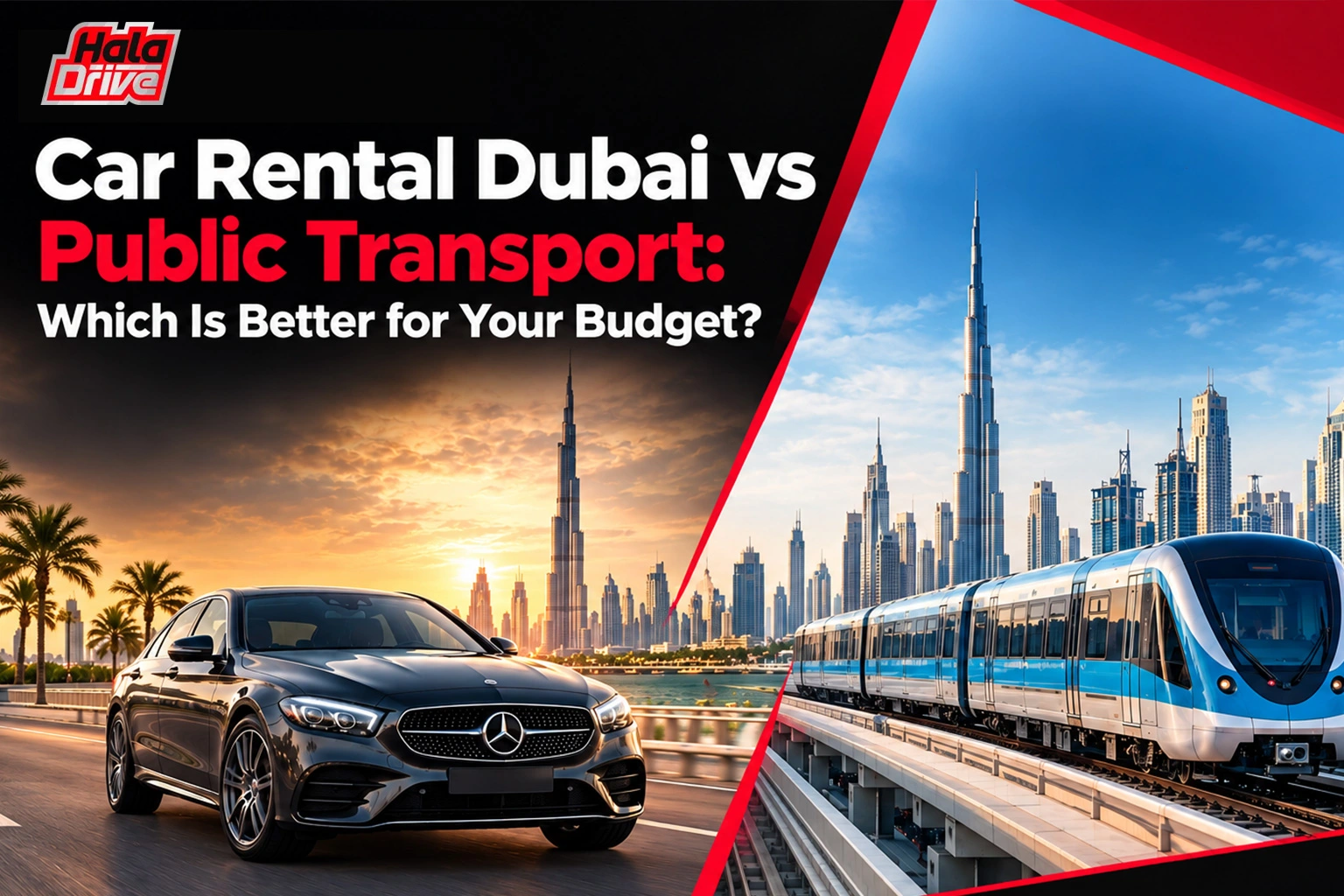 car rental vs public transport